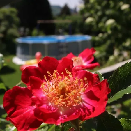 Haus Koeberle Lägenhet